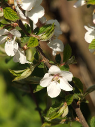 Similar image 147534