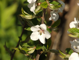 Similar image 147535