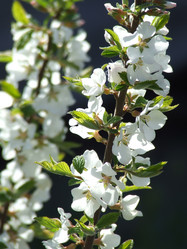 Similar image 147536