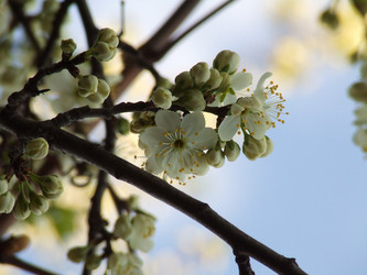 Similar image 147537