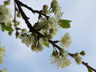 Similar image 147538