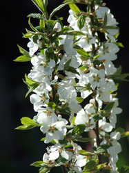 Similar image 147539