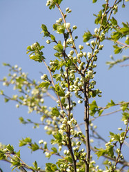 Similar image 147540