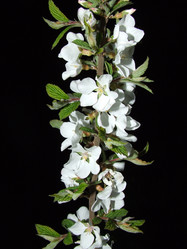 Similar image 147541