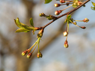 Similar image 147546