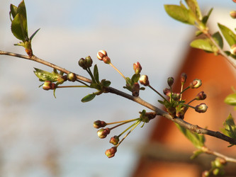 Similar image 147547