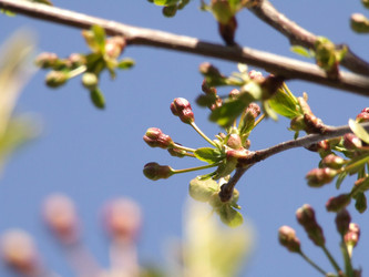 Similar image 147551