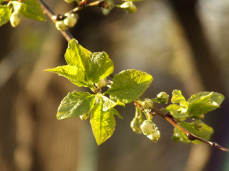 Similar image 147553