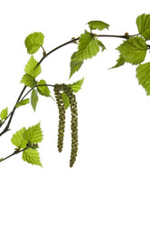 Similar image 147554