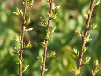 Similar image 147555