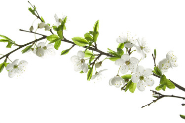 Similar image 147556