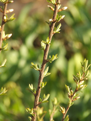 Similar image 147561