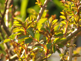 Similar image 147562