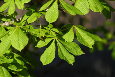 Similar image 147563