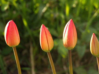 Similar image 147565