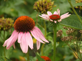 Similar image 147567