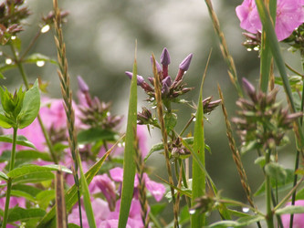 Similar image 147569