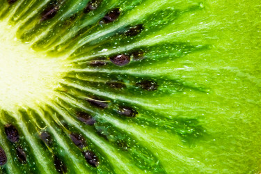 Similar image 147601