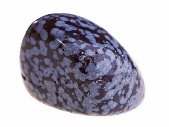 Similar image 147606