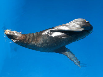 Similar image 147629