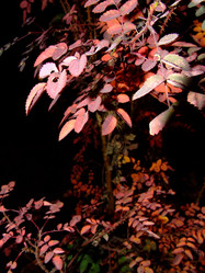 Similar image 147673