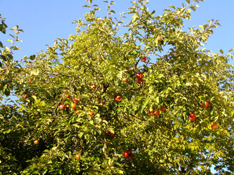 Similar image 147675