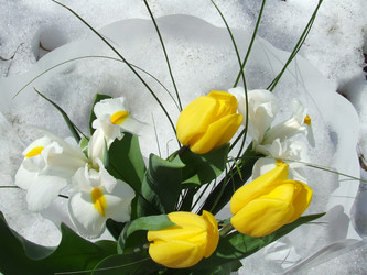 Similar image 147676