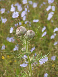 Similar image 147679