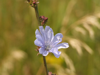 Similar image 147680