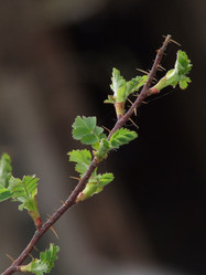 Similar image 147681