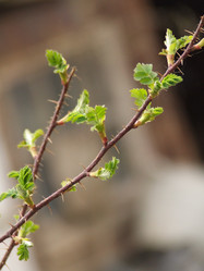 Similar image 147682