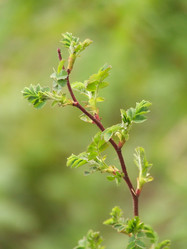 Similar image 147683