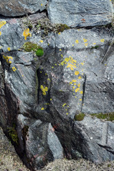 Similar image 147697