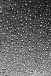 Similar image 147708