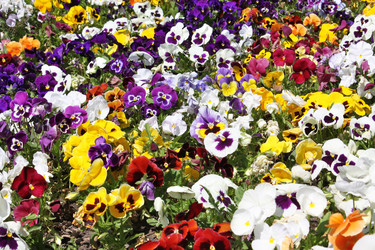 Similar image 147715