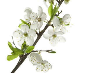 Similar image 147717