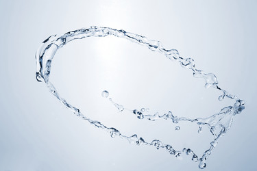 Similar image 147719