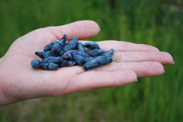 Similar image 147724