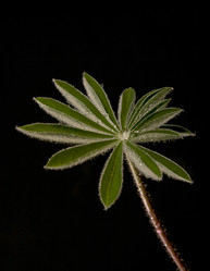 Similar image 147748