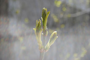 Similar image 147753