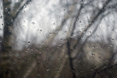 Similar image 147767