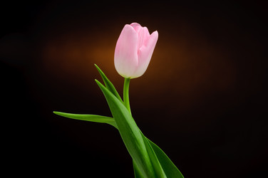 Similar image 147772