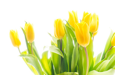 Similar image 147775