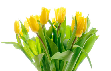 Similar image 147776