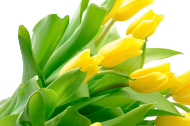 Similar image 147777