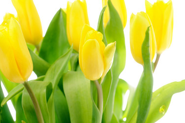 Similar image 147778