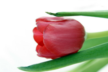 Similar image 147782