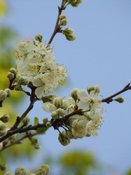 Similar image 147803