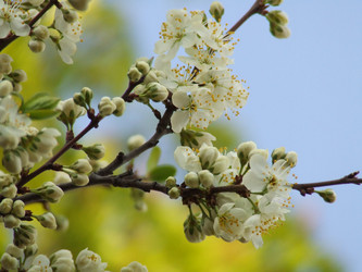 Similar image 147804