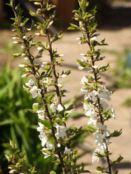 Similar image 147805